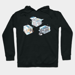 Boxed Cats Hoodie